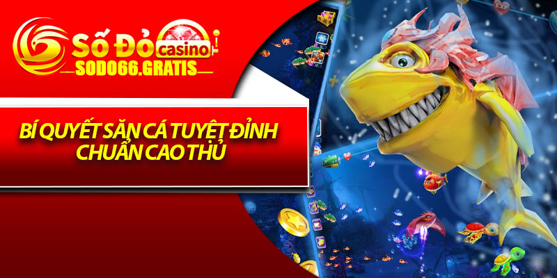 Bí quyết săn cá tuyệt đỉnh chuẩn cao thủ