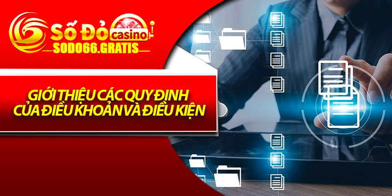 Điều Khoản Và Điều Kiện - Cơ Sở Pháp Lý Cho Trải Nghiệm An Tâm 1 Giới thiệu các quy định của điều khoản và điều kiện
