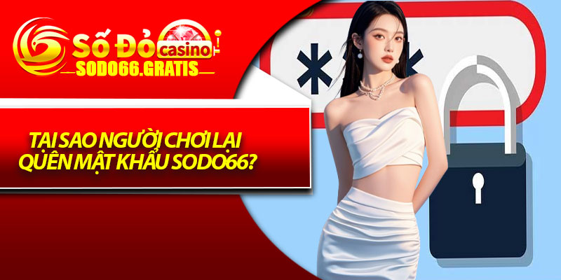Tại Sao Người Chơi Lại Quên Mật Khẩu Sodo66?